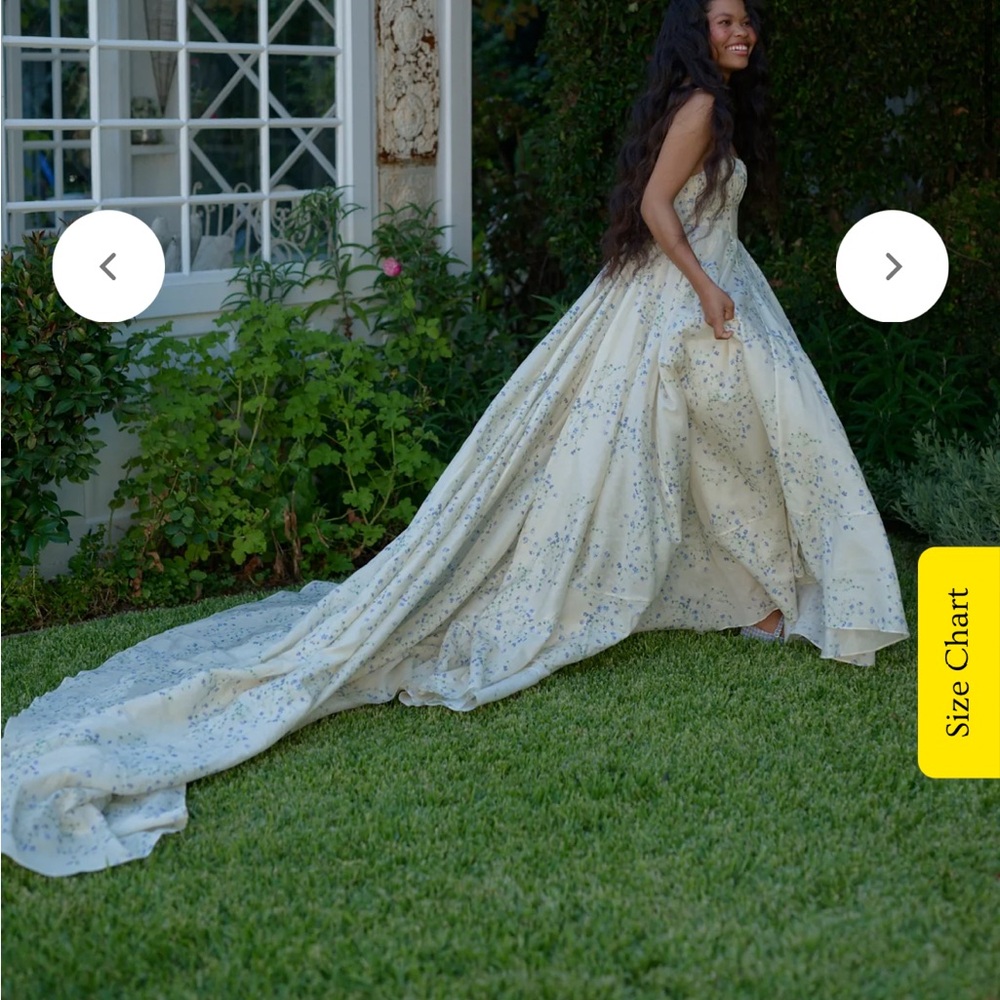 selkie the blue vine roman holiday gown
